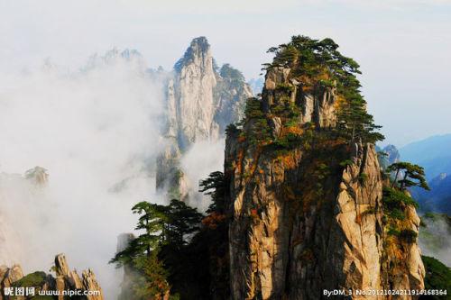 了解相亲为什么很重要心动这个因素?的知识星球,开启智慧之旅
